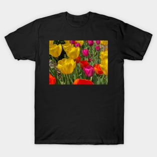 Tulip Garden T-Shirt